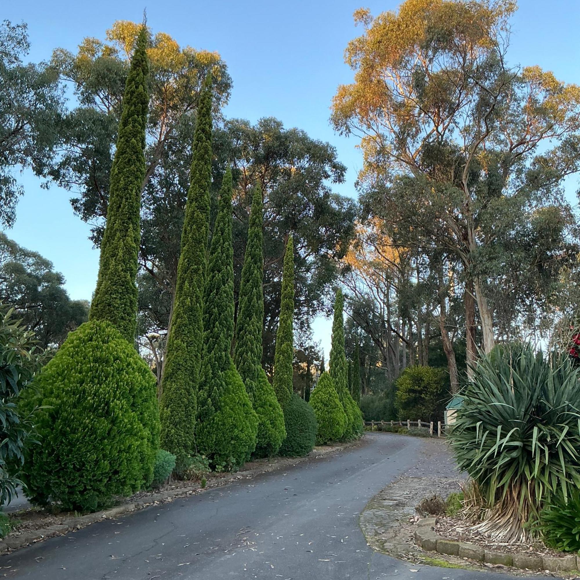 Sanctuary House Resort Motel Healesville Eksteriør bilde